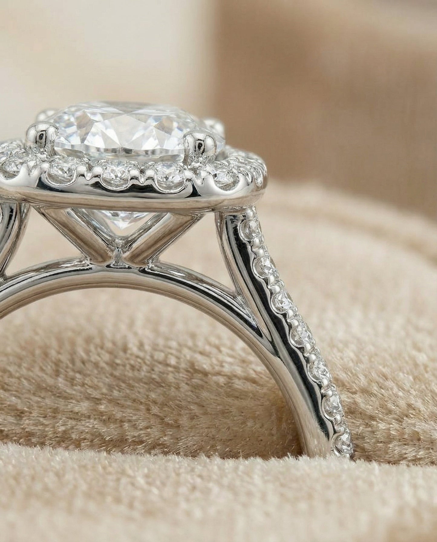 Round Brilliant, Classic Prong Halo, in Platinum, pave setting – detail view | RockHer