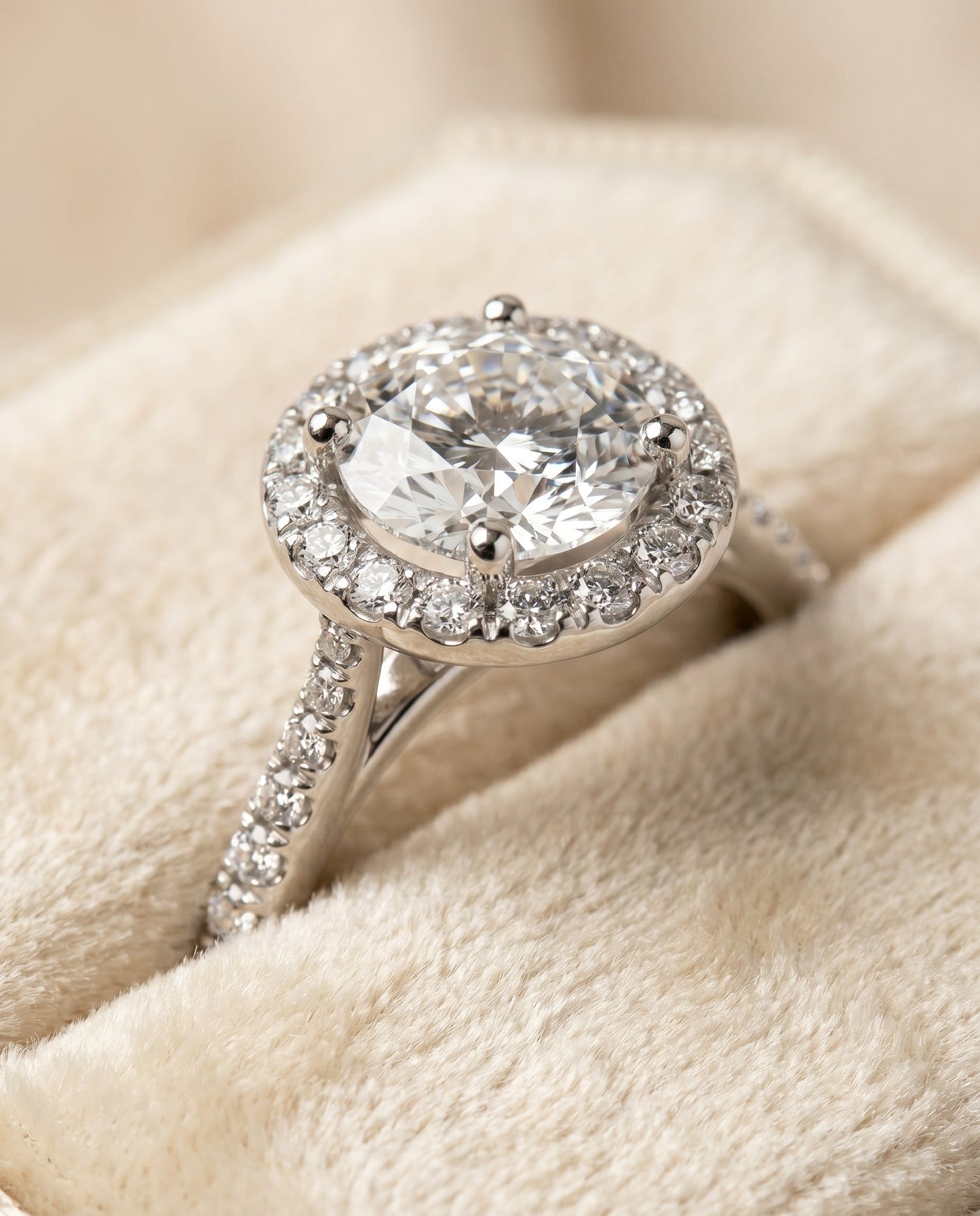 Dionne Select Diamond Pave Halo in Platinum – view 4