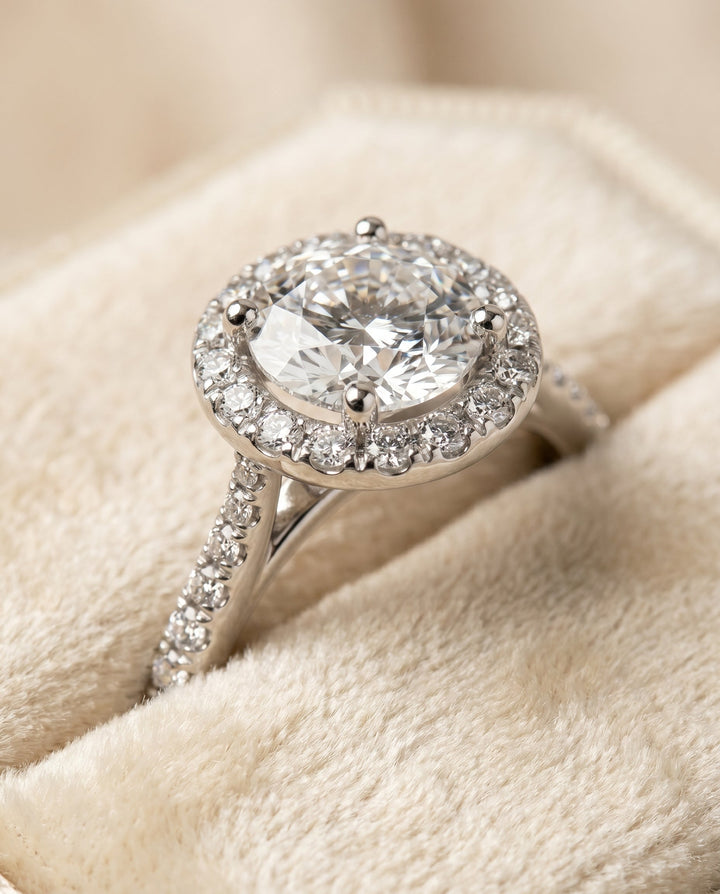 Dionne Select Diamond Pave Halo in Platinum – view 4