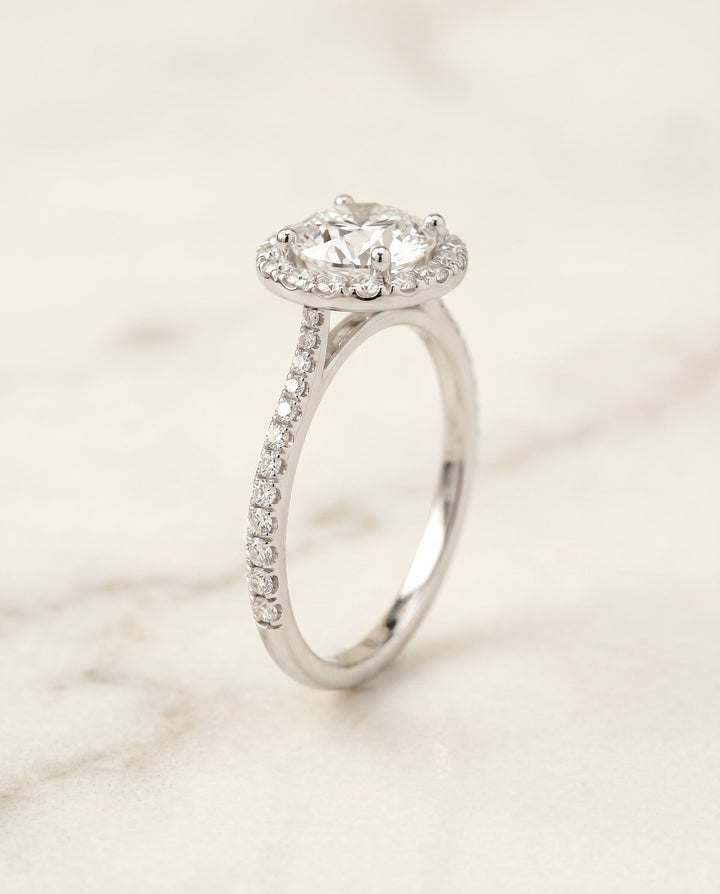 Dionne Select Diamond Pave Halo in Platinum – view 2