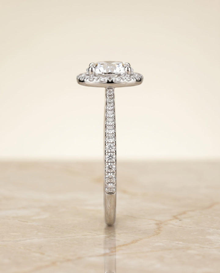 Dionne Select Diamond Pave Halo in Platinum – view 6