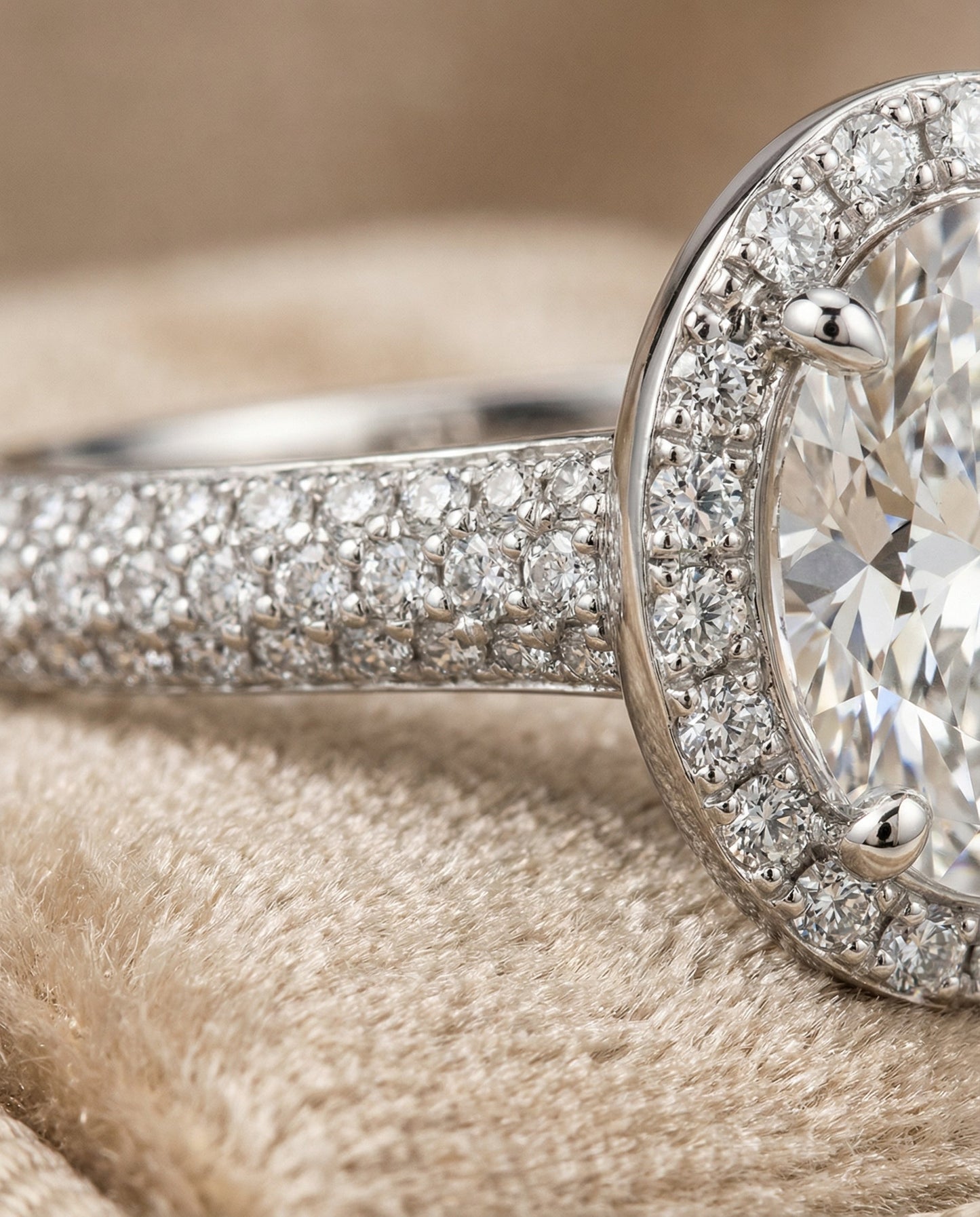 Micro-Pavé Triple Row Halo Oval, in Platinum, pave setting – detail view | RockHer