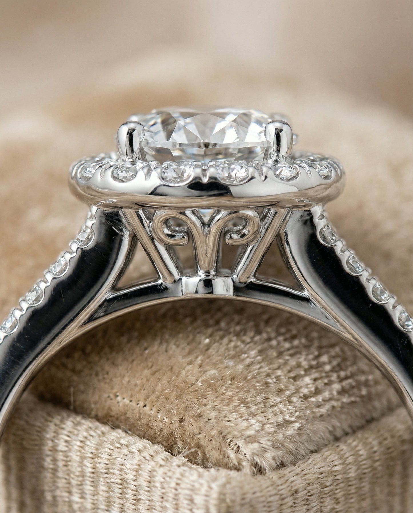 Round Brilliant, Petite Split Shank Halo, in Platinum, pave setting – detail view | RockHer