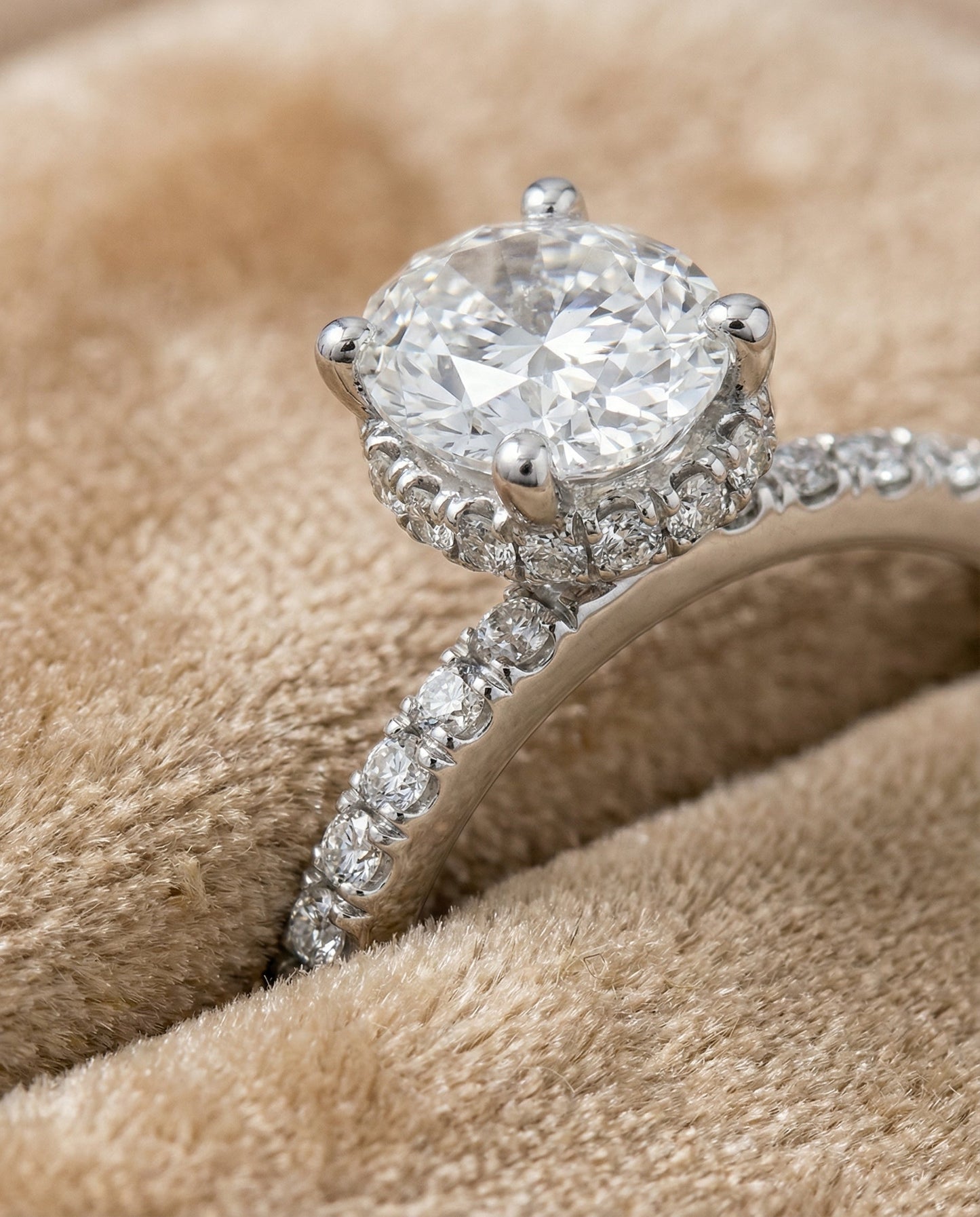 Secret Halo French Pavé Solitaire Oval, in Platinum – detail view | RockHer