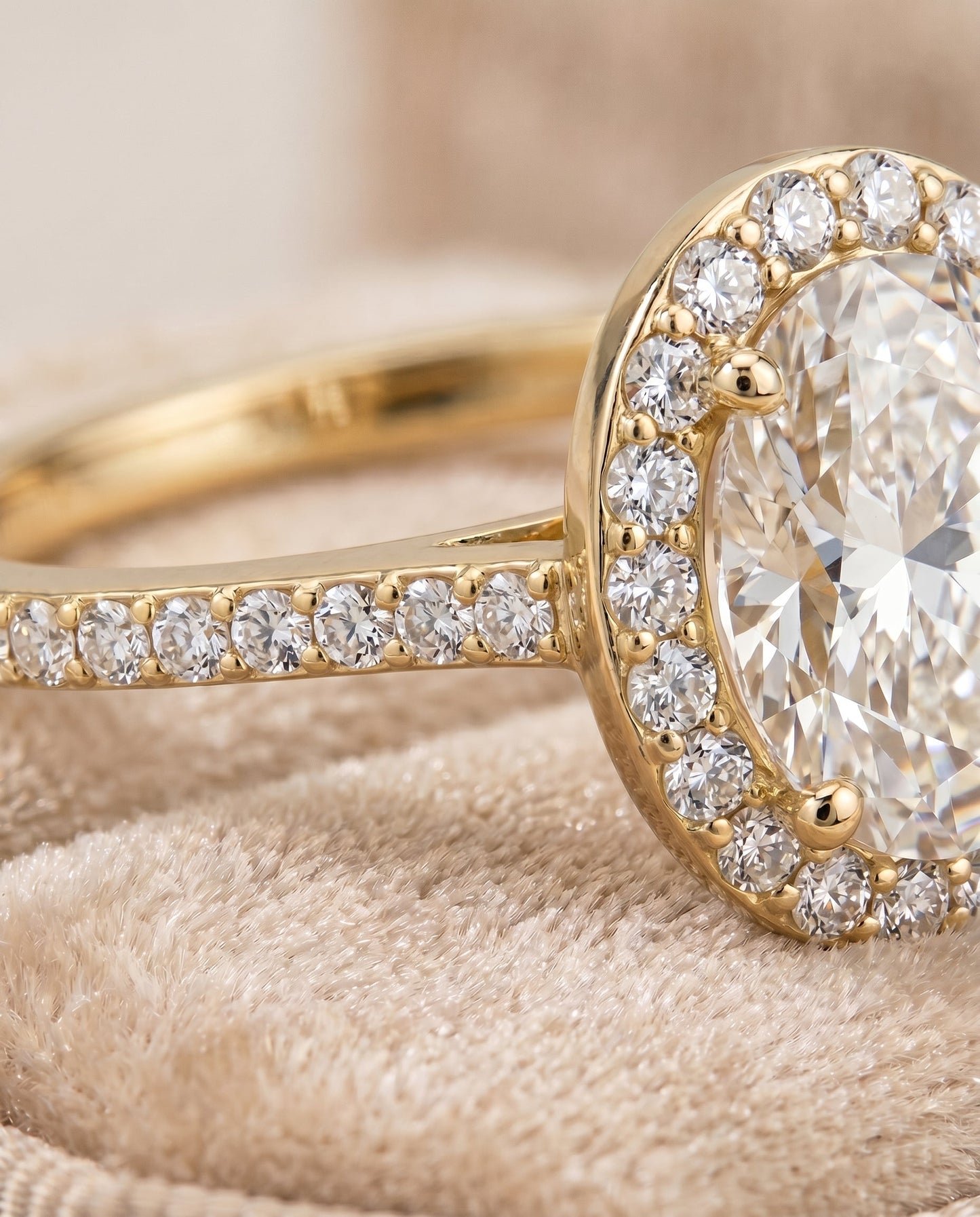 ตัวเรือนแหวนหมั้น Taylor Pavé Halo สำหรับเพชรรูปไข่ ทองคำขาว 18K