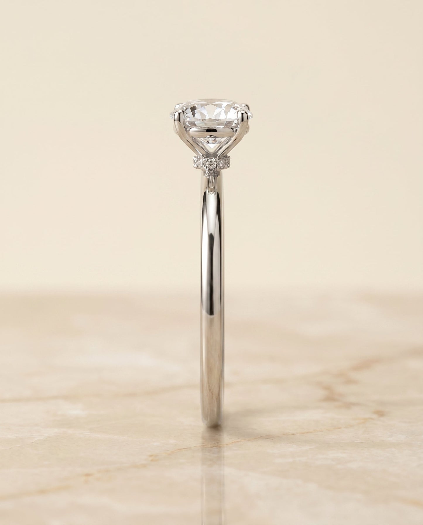 The Joni Hidden Halo Solitaire Engagement Ring Setting for Round Diamonds in Platinum