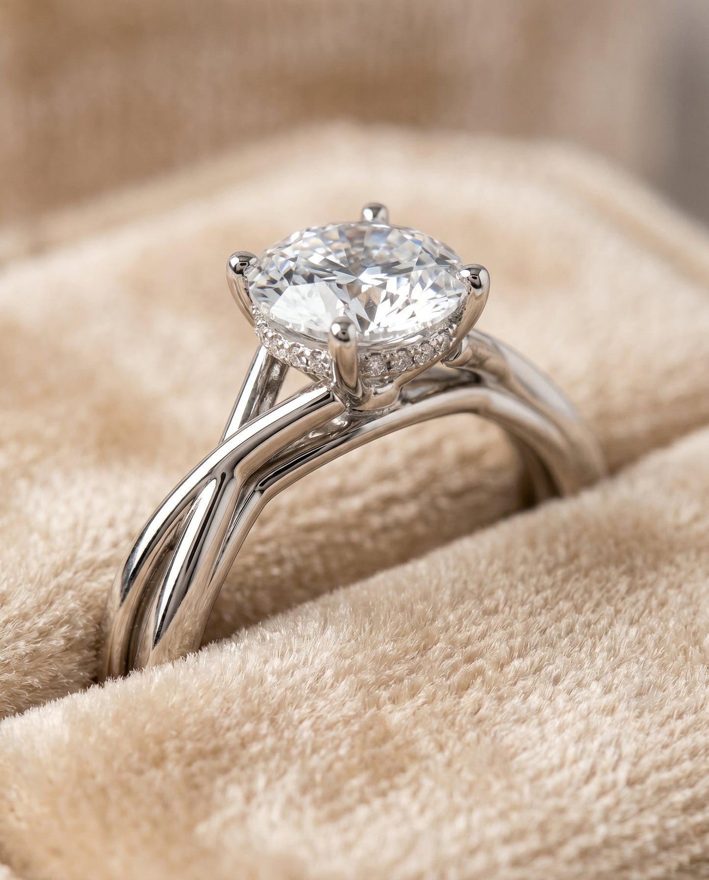 Grace Select Twisted Shank Hidden Halo Solitaire in Platinum – view 4