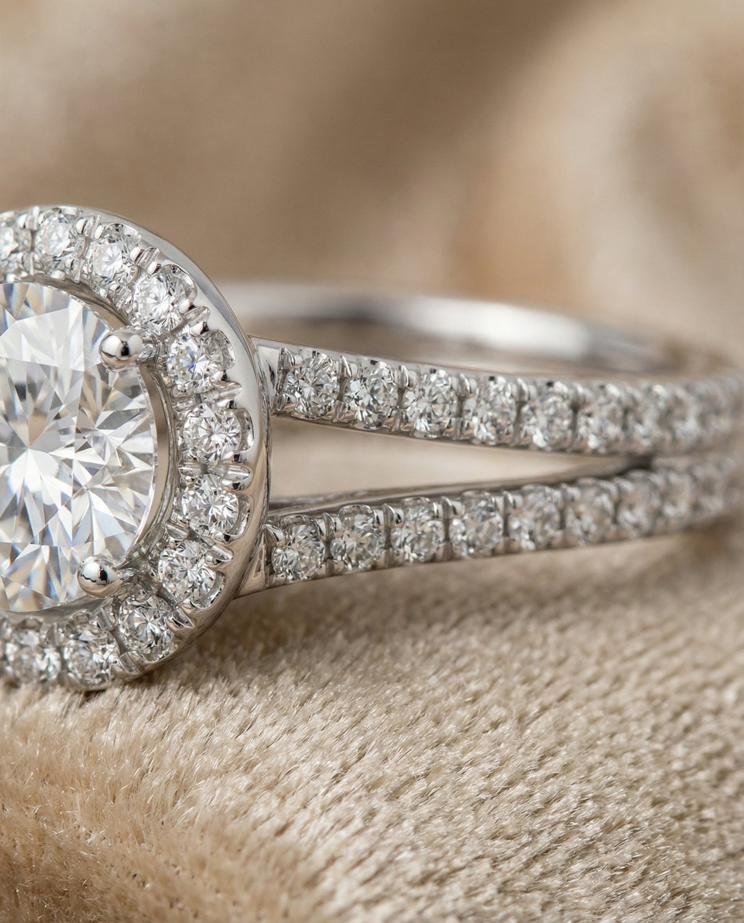 Round Brilliant, Two Row Pavé Split Shank Halo, in Platinum, pave setting – detail view | RockHer