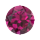 Garnet Ring Icon
